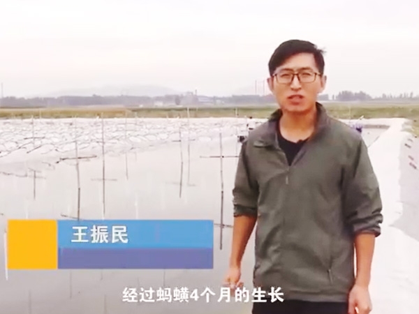 小勐拉99厅收获流程